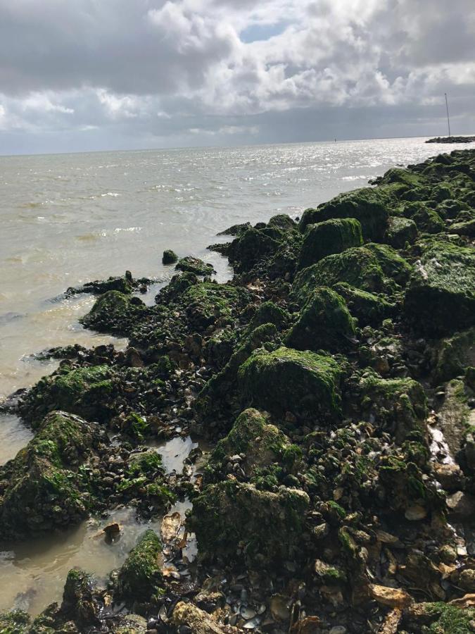 Huisje Vogelenzang Zeeland Sint Annaland Zewnętrze zdjęcie