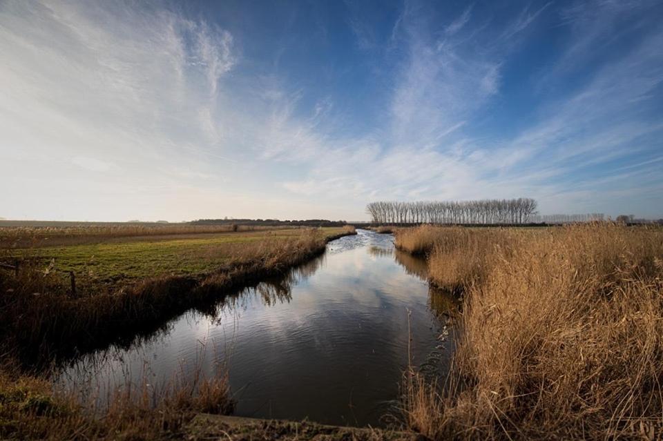 Huisje Vogelenzang Zeeland Sint Annaland Zewnętrze zdjęcie
