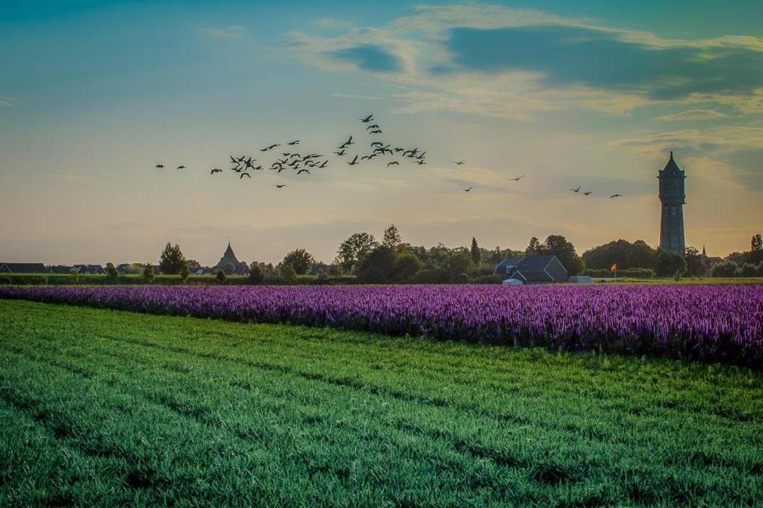 Huisje Vogelenzang Zeeland Sint Annaland Zewnętrze zdjęcie
