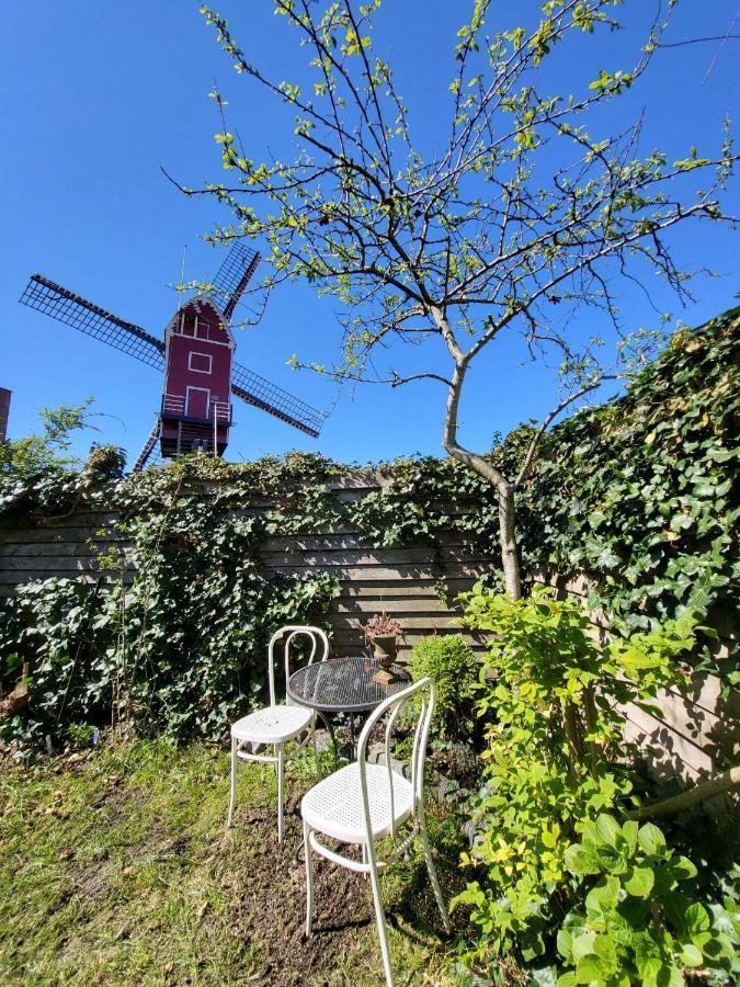 Huisje Vogelenzang Zeeland Sint Annaland Zewnętrze zdjęcie